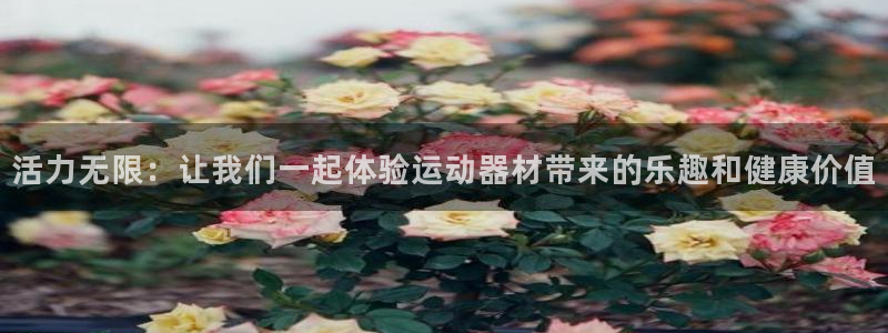 风速体育官方正版app集团官网网址：活力无限：让我们