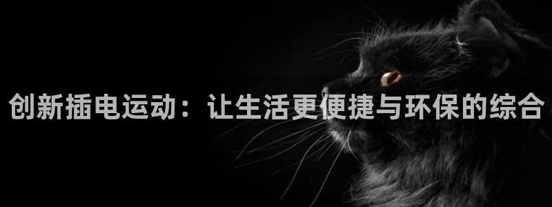 风速体育官方正版app娱乐网站：创新插电运动：让生活更便捷与