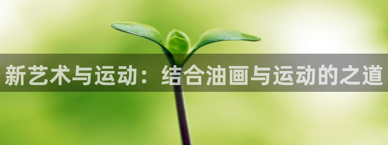 风速体育官网下载娱乐：新艺术与运动：结合油画与运动的