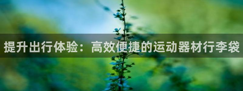 风速体育官网下载平台APP：提升出行体验：高效便捷的运动器材