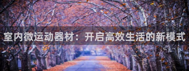 风速体育官方正版app集团官网首页网址：室内微运动器材：开启