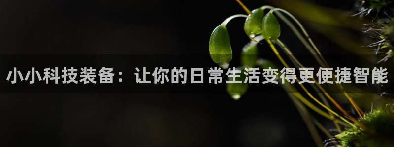 风速体育官网下载平台假的吗是真的吗：小小科技装备：让