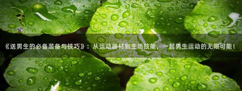 风速体育官方正版app代理：《送男生的必备装备与技巧