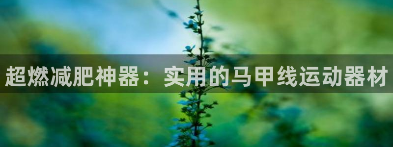 风速体育官方正版app官方：超燃减肥神器：实用的马甲线运动器