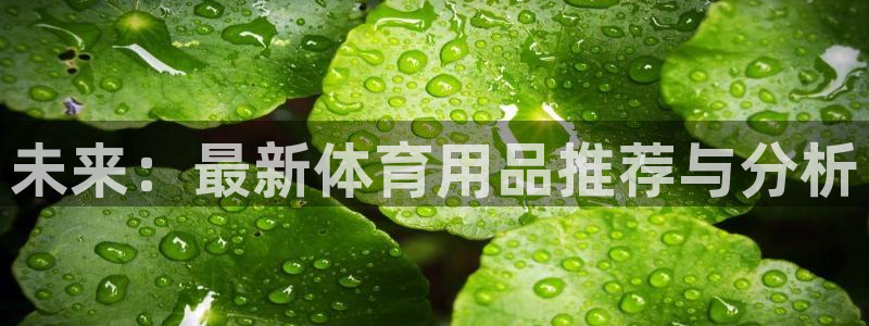 风速体育官网下载平台注册：未来：最新体育用品推荐与分析