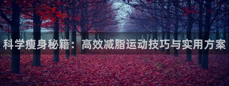 风速体育官方正版app娱乐40996：科学瘦身秘籍：