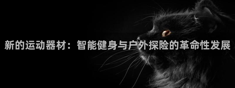 风速体育官网下载平台假的吗是真的吗吗：新的运动器材：智能健身