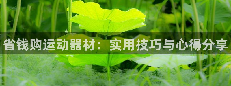 风速体育官方正版app娱乐首页网站大全：省钱购运动器材：实用