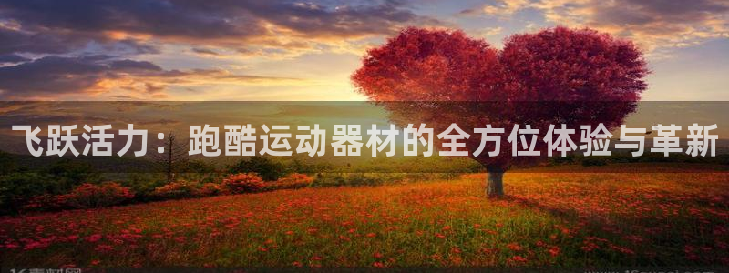 风速体育官方正版app娱乐40996：飞跃活力：跑酷