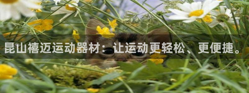 风速体育官方正版app开户：昆山禧迈运动器材：让运动更轻松、