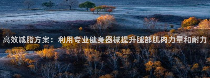 风速体育官方正版app娱乐网站：高效减脂方案：利用专业健身器