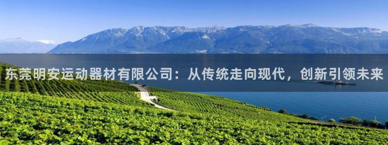 风速体育官网下载注册